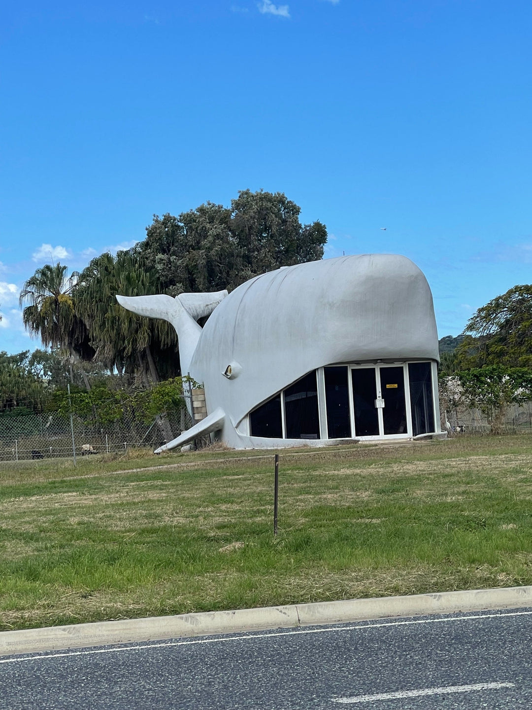 Big Whale Kinka Beach