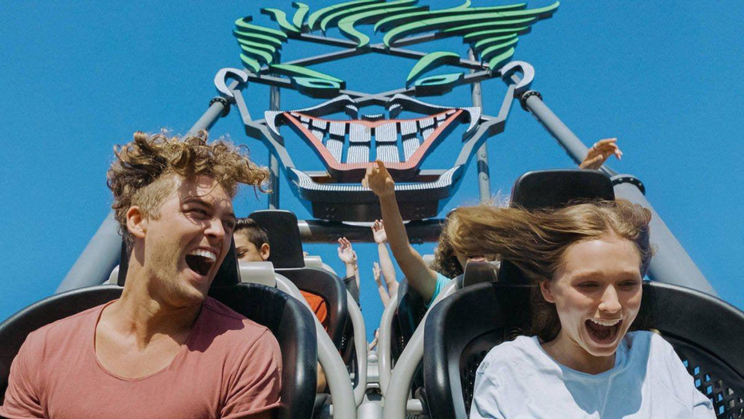 Movie World Gold Coast - The Best Day Out!-Paint Juicy - Paint and Sip