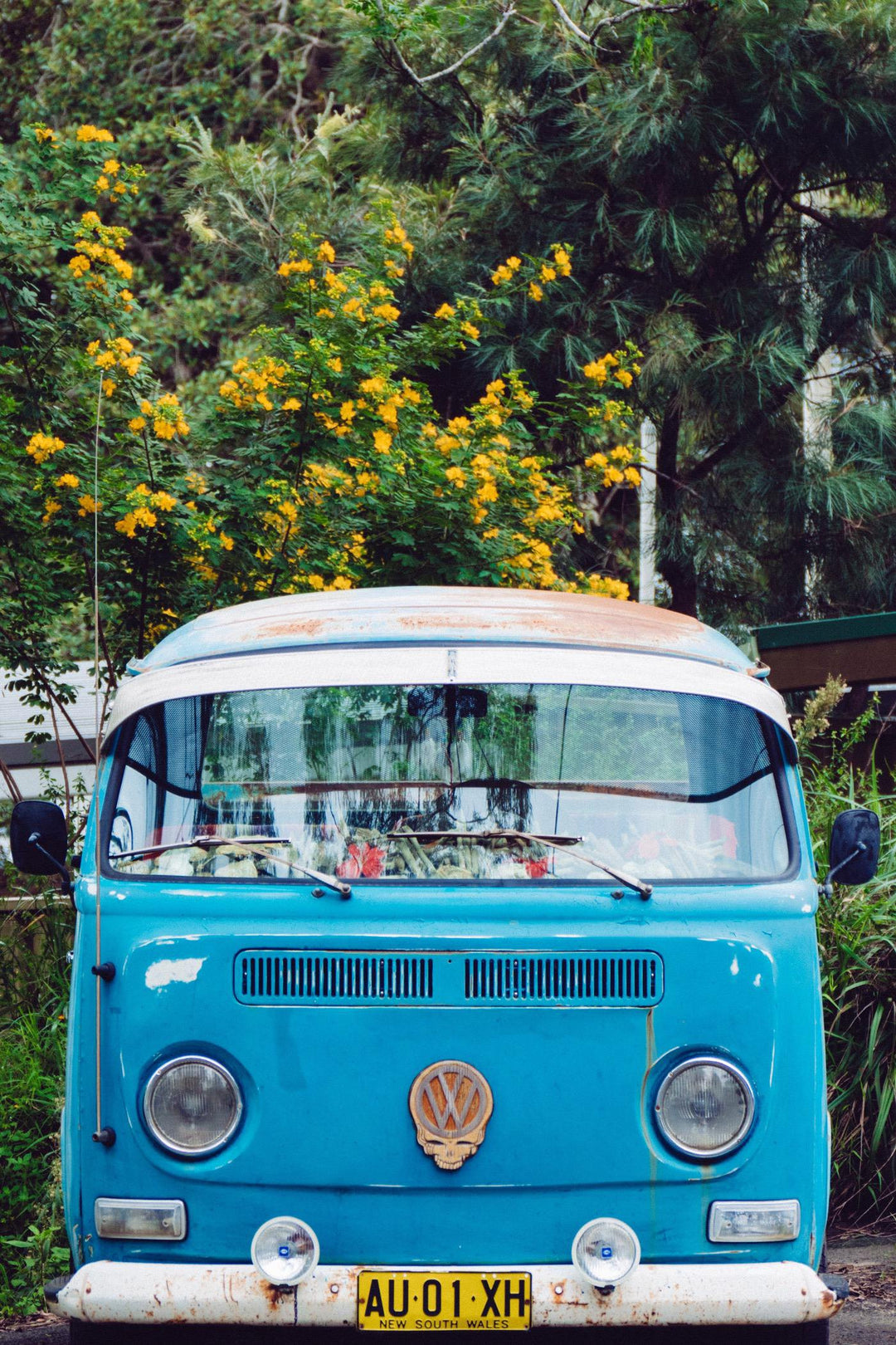 How To Paint a Kombi Van: An Easy Guide For Beginner Painters-Paint Juicy - Paint and Sip