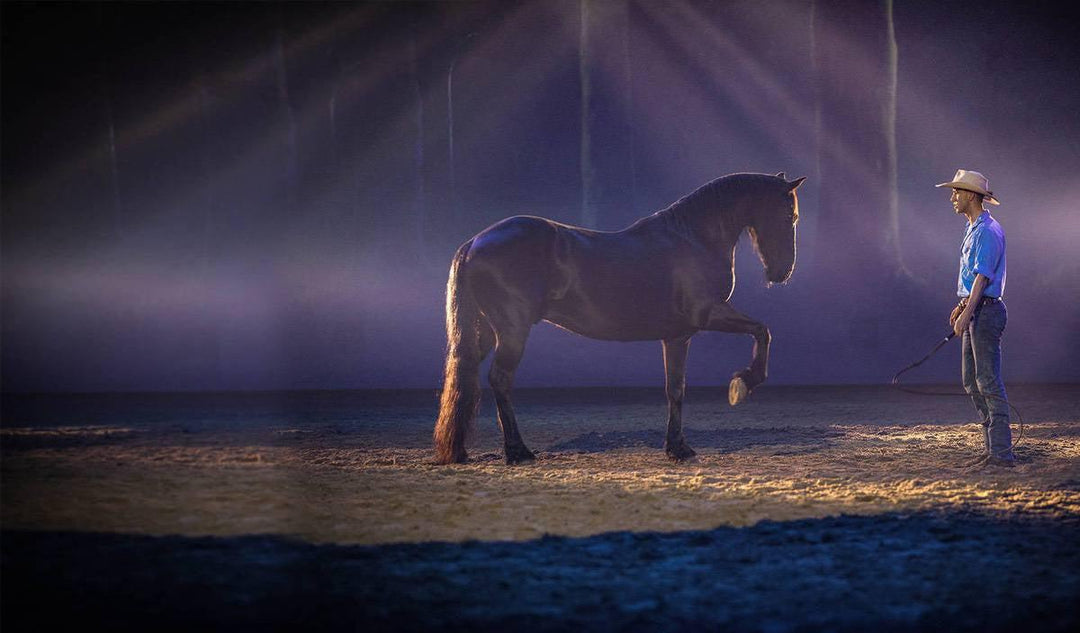 Australian Outback Spectacular Gold Coast-Paint Juicy - Paint and Sip