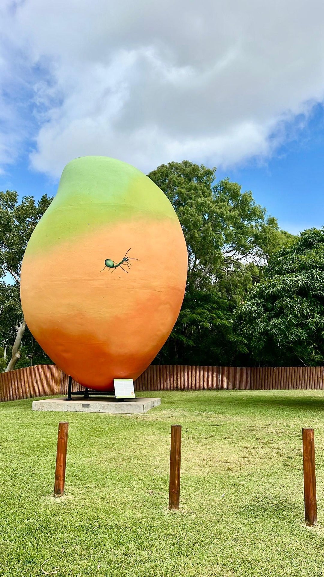 Big Mango Bowen