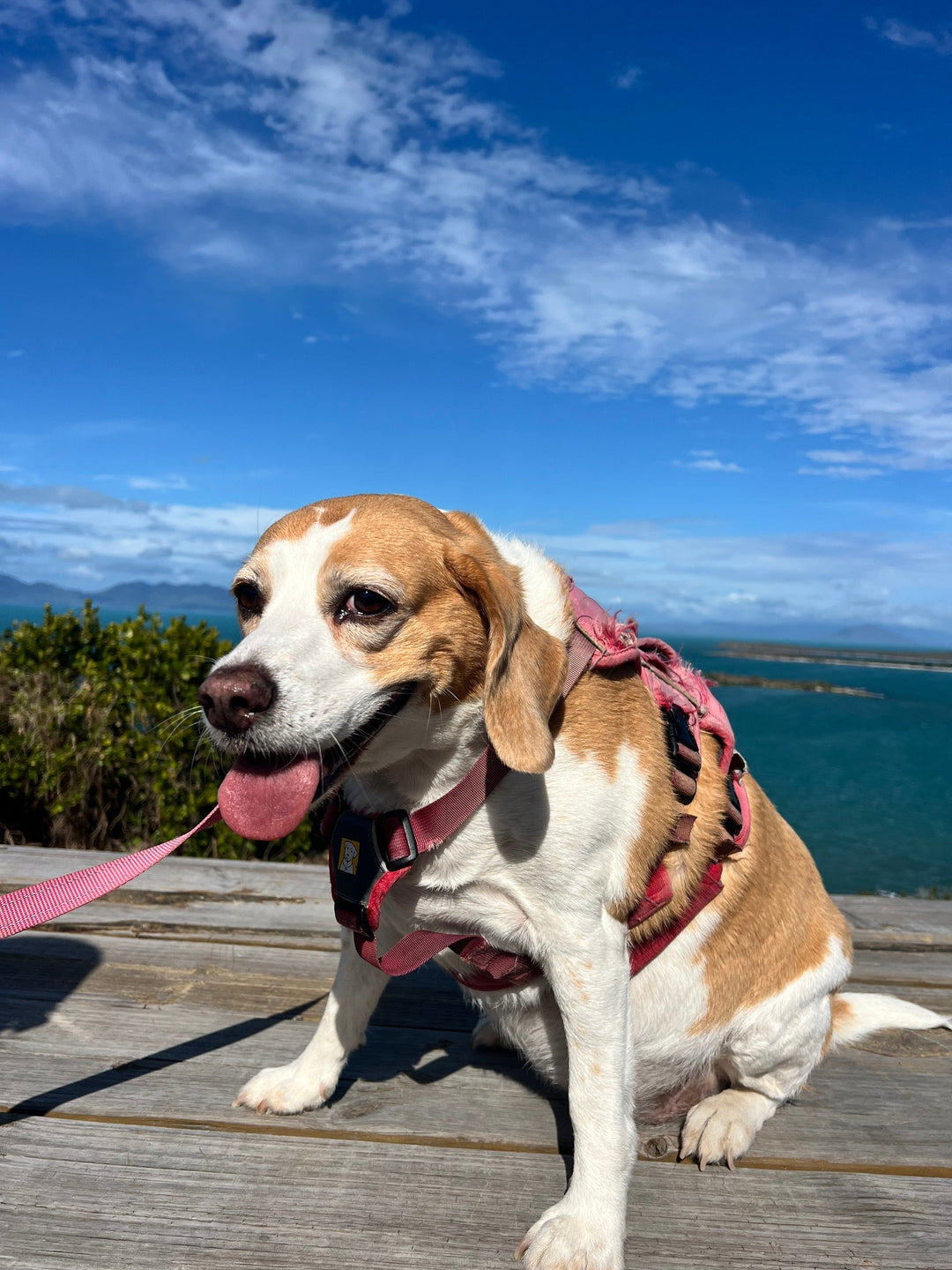 Flagstaff Hill Lookout, Bowen QLD