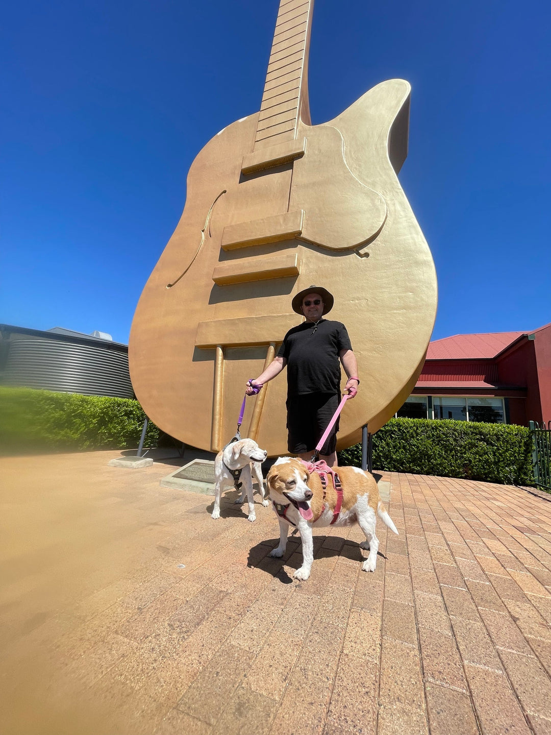 Tamworth Golden Guitar