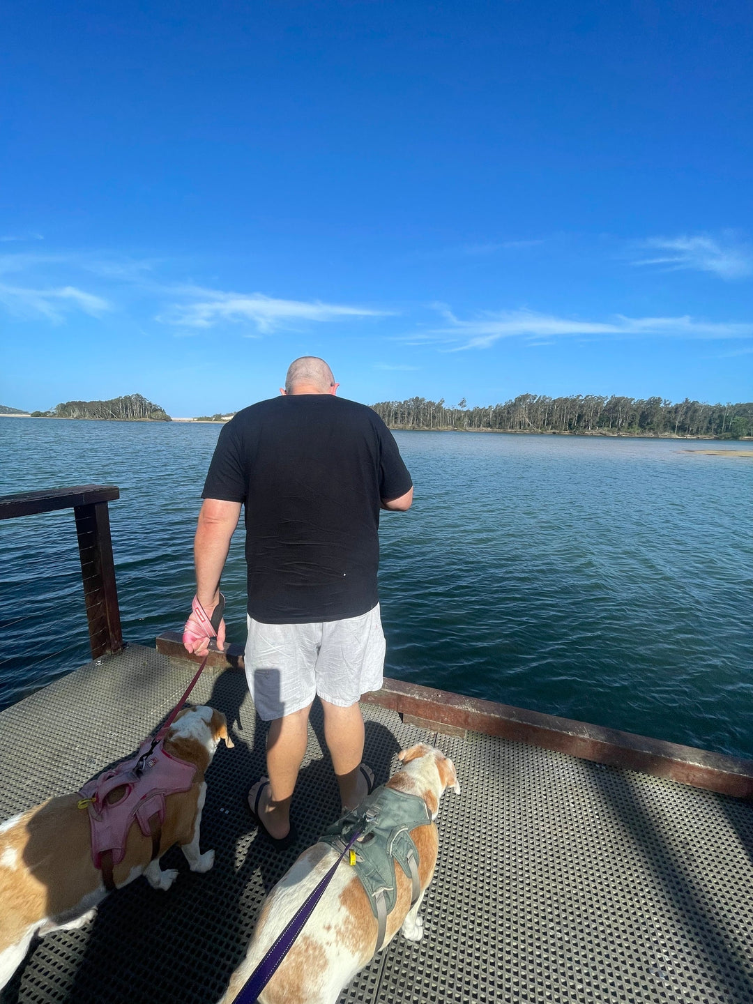 Nambucca Waterfront: Stuart Island Dog Park Wander