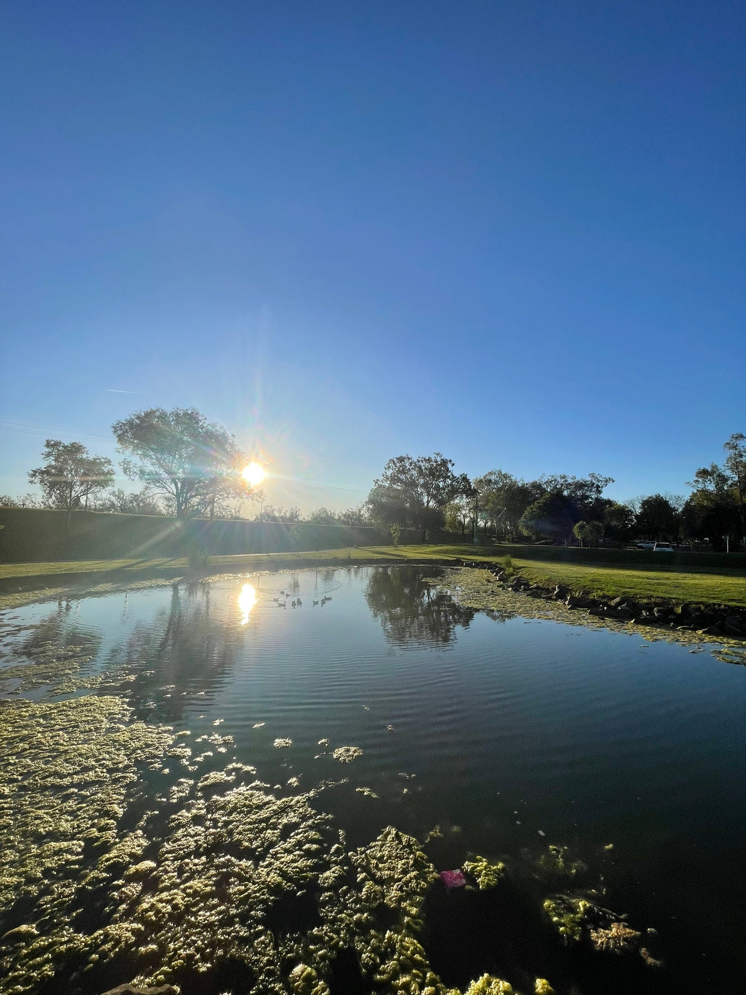 Tamworth Bicentennial Park