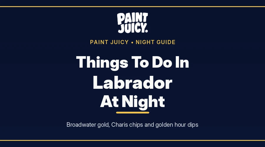 Things to do in Labrador at night, Paint Juicy night guide cover in navy and gold